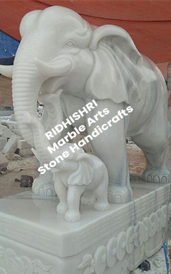 white elephant landscape